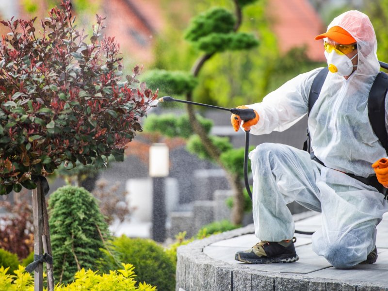 Günyüzü Haşere İlaçlama