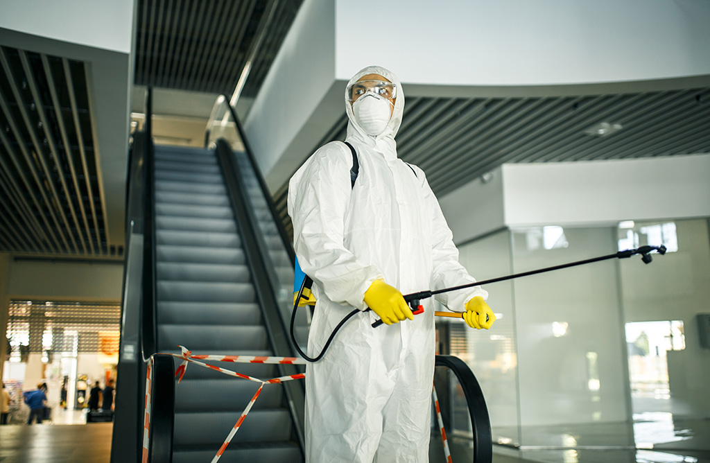 Günyüzü Haşere İlaçlama